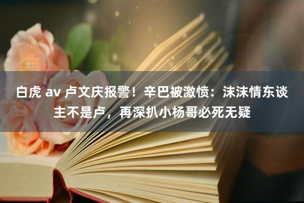 白虎 av 卢文庆报警！辛巴被激愤：沫沫情东谈主不是卢，再深扒小杨哥必死无疑