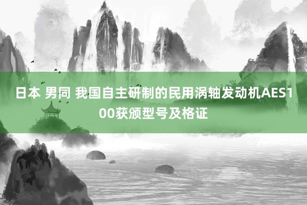 日本 男同 我国自主研制的民用涡轴发动机AES100获颁型号及格证