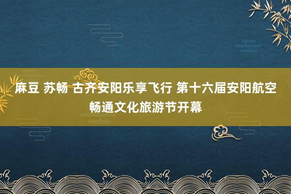 麻豆 苏畅 古齐安阳乐享飞行 第十六届安阳航空畅通文化旅游节开幕