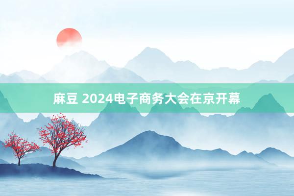 麻豆 2024电子商务大会在京开幕