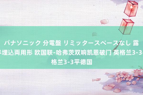 パナソニック 分電盤 リミッタースペースなし 露出・半埋込両用形 欧国联-哈弗茨双响凯恩破门 英格兰3-3平德国