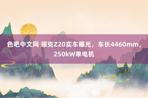 色吧中文网 领克Z20实车曝光，车长4460mm，250kW单电机