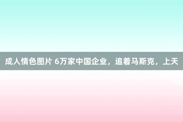 成人情色图片 6万家中国企业，追着马斯克，上天