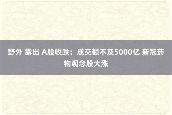 野外 露出 A股收跌：成交额不及5000亿 新冠药物观念股大涨