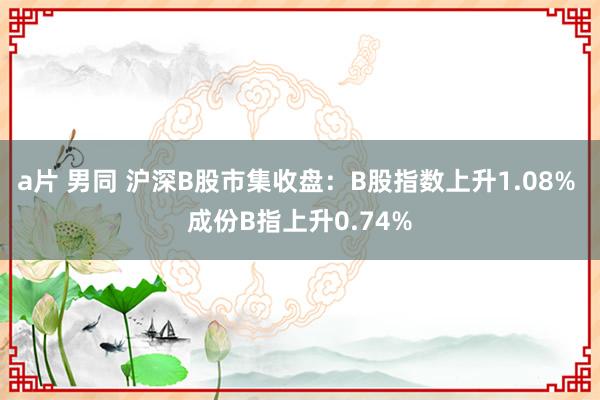 a片 男同 沪深B股市集收盘：B股指数上升1.08% 成份B指上升0.74%