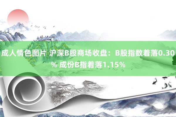 成人情色图片 沪深B股商场收盘：B股指数着落0.30% 成份B指着落1.15%