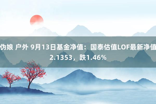 伪娘 户外 9月13日基金净值：国泰估值LOF最新净值2.1353，跌1.46%