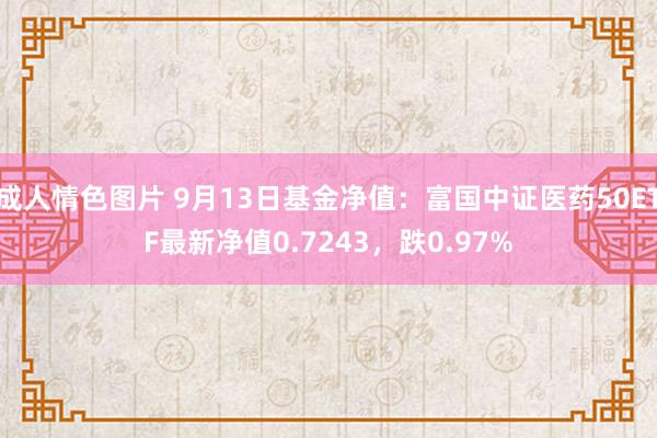 成人情色图片 9月13日基金净值：富国中证医药50ETF最新净值0.7243，跌0.97%