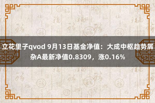 立花里子qvod 9月13日基金净值：大成中枢趋势羼杂A最新净值0.8309，涨0.16%