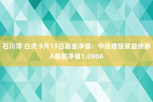 石川澪 白虎 9月13日基金净值：中信建投景益债券A最新净值1.0806