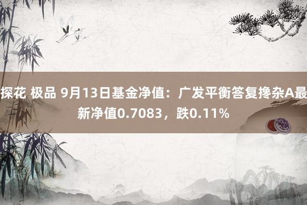 探花 极品 9月13日基金净值：广发平衡答复搀杂A最新净值0.7083，跌0.11%