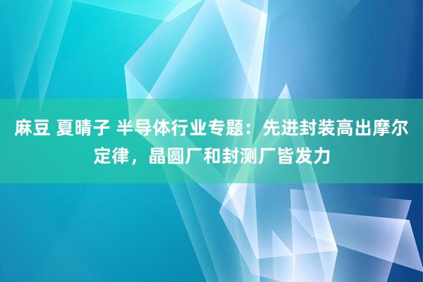 麻豆 夏晴子 半导体行业专题：先进封装高出摩尔定律，晶圆厂和封测厂皆发力