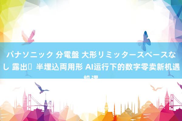 パナソニック 分電盤 大形リミッタースペースなし 露出・半埋込両用形 AI运行下的数字零卖新机遇