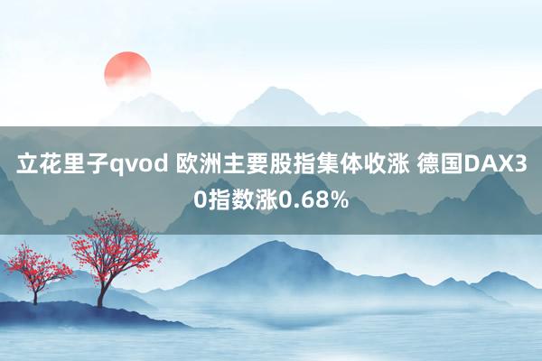 立花里子qvod 欧洲主要股指集体收涨 德国DAX30指数涨0.68%