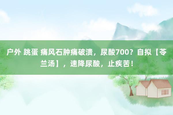 户外 跳蛋 痛风石肿痛破溃，尿酸700？自拟【苓兰汤】，速降尿酸，止疾苦！