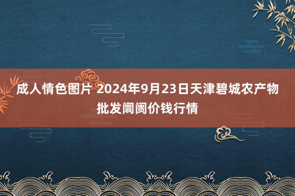 成人情色图片 2024年9月23日天津碧城农产物批发阛阓价钱行情