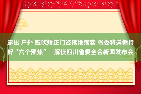 露出 户外 鼓吹矫正门径落地落实 省委将遵循持好“六个聚焦”｜解读四川省委全会新闻发布会