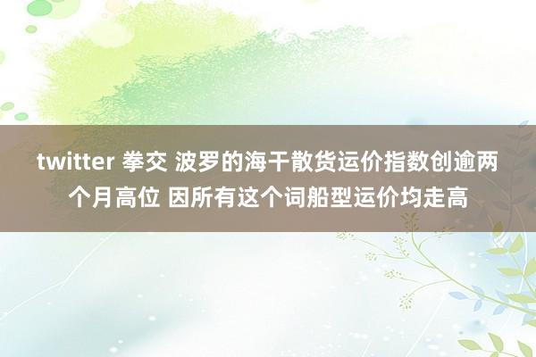 twitter 拳交 波罗的海干散货运价指数创逾两个月高位 因所有这个词船型运价均走高