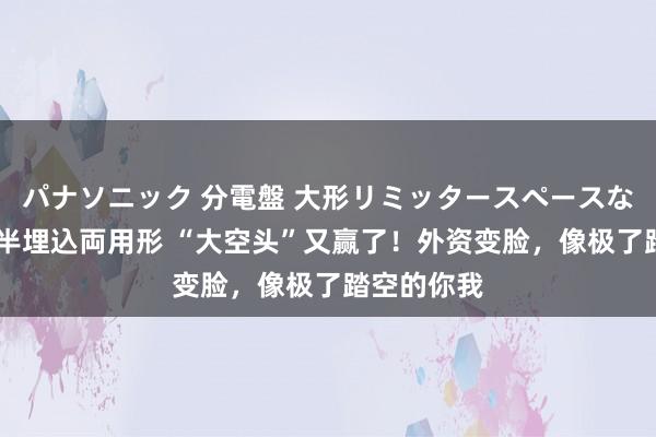 パナソニック 分電盤 大形リミッタースペースなし 露出・半埋込両用形 “大空头”又赢了！外资变脸，像极了踏空的你我