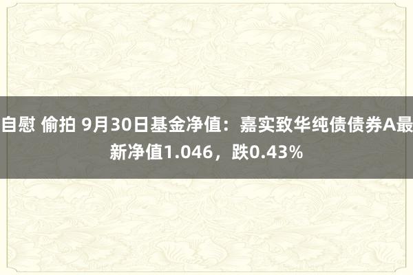 自慰 偷拍 9月30日基金净值：嘉实致华纯债债券A最新净值1.046，跌0.43%