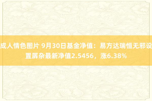 成人情色图片 9月30日基金净值：易方达瑞恒无邪设置羼杂最新净值2.5456，涨6.38%