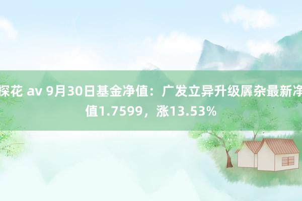 探花 av 9月30日基金净值：广发立异升级羼杂最新净值1.7599，涨13.53%