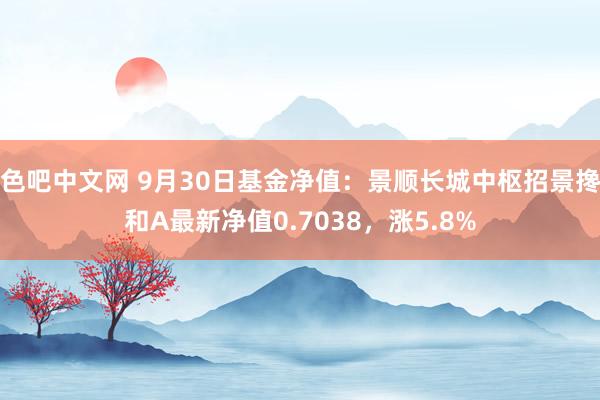 色吧中文网 9月30日基金净值：景顺长城中枢招景搀和A最新净值0.7038，涨5.8%