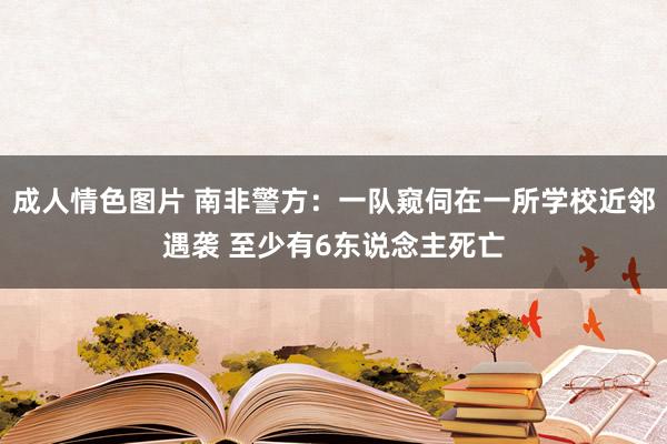 成人情色图片 南非警方：一队窥伺在一所学校近邻遇袭 至少有6东说念主死亡