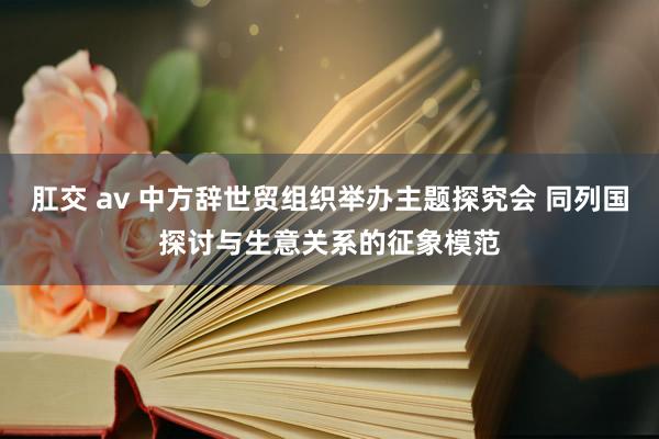 肛交 av 中方辞世贸组织举办主题探究会 同列国探讨与生意关系的征象模范