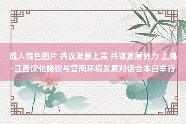 成人情色图片 共议发展上策 共谋发展协力 上海·江西深化雠校与营商环境发展对话会本日举行