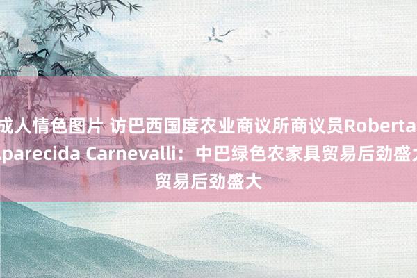 成人情色图片 访巴西国度农业商议所商议员Roberta Aparecida Carnevalli：中巴绿色农家具贸易后劲盛大