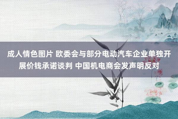 成人情色图片 欧委会与部分电动汽车企业单独开展价钱承诺谈判 中国机电商会发声明反对