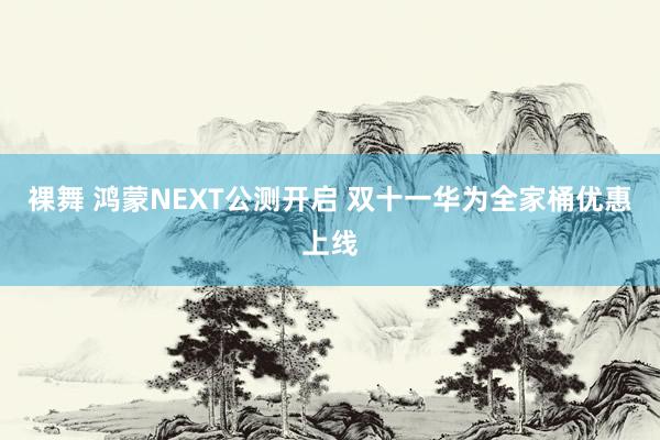 裸舞 鸿蒙NEXT公测开启 双十一华为全家桶优惠上线