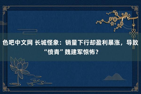 色吧中文网 长城怪象：销量下行却盈利暴涨，导致“愤青”魏建军惊怖？