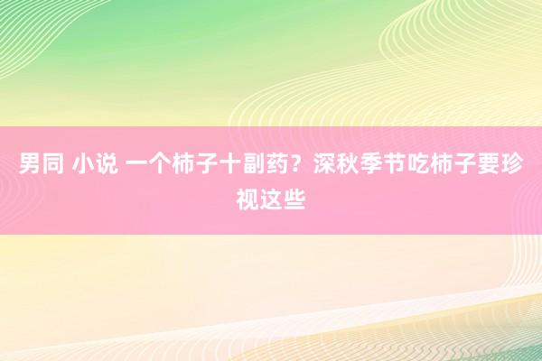 男同 小说 一个柿子十副药？深秋季节吃柿子要珍视这些