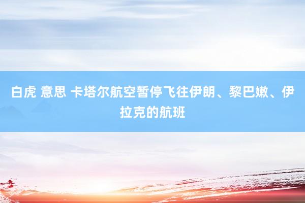 白虎 意思 卡塔尔航空暂停飞往伊朗、黎巴嫩、伊拉克的航班