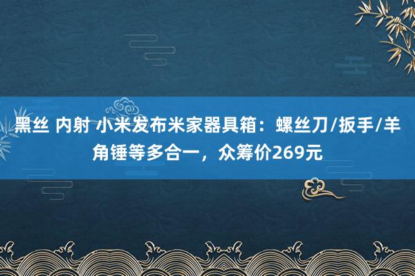 黑丝 内射 小米发布米家器具箱：螺丝刀/扳手/羊角锤等多合一，众筹价269元