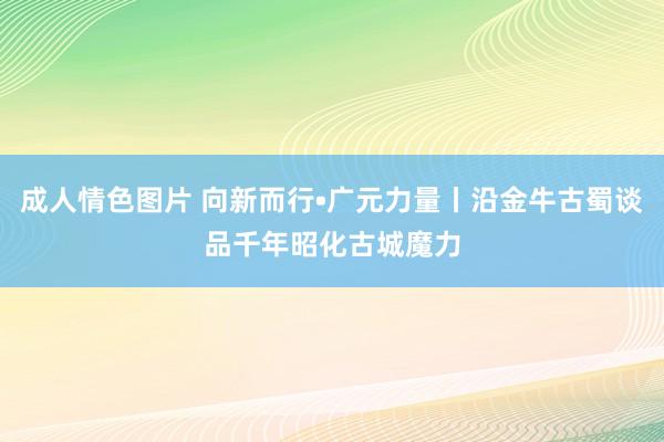 成人情色图片 向新而行•广元力量丨沿金牛古蜀谈品千年昭化古城魔力