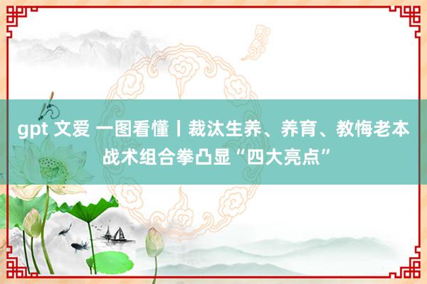 gpt 文爱 一图看懂丨裁汰生养、养育、教悔老本 战术组合拳凸显“四大亮点”