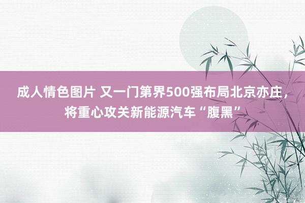 成人情色图片 又一门第界500强布局北京亦庄，将重心攻关新能源汽车“腹黑”