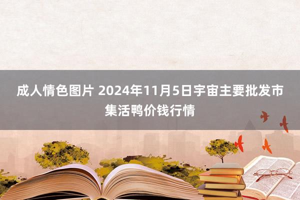 成人情色图片 2024年11月5日宇宙主要批发市集活鸭价钱行情