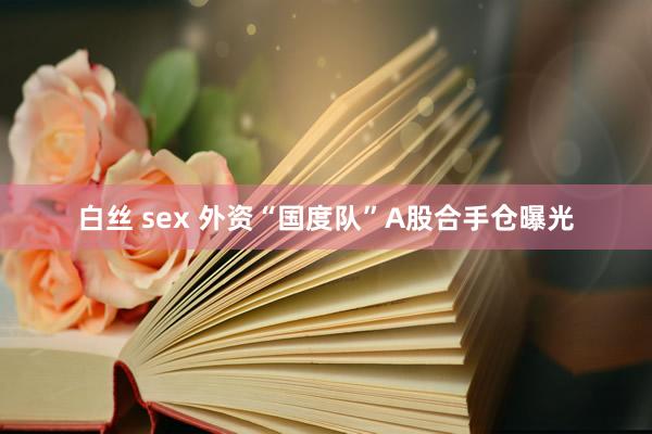 白丝 sex 外资“国度队”A股合手仓曝光