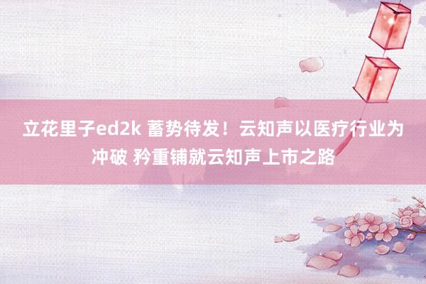 立花里子ed2k 蓄势待发！云知声以医疗行业为冲破 矜重铺就云知声上市之路