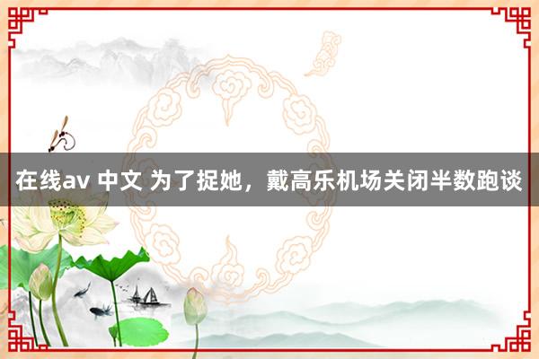 在线av 中文 为了捉她，戴高乐机场关闭半数跑谈