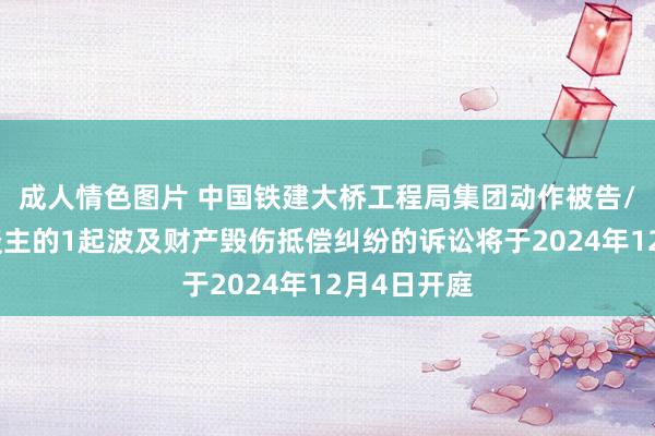 成人情色图片 中国铁建大桥工程局集团动作被告/被上诉东谈主的1起波及财产毁伤抵偿纠纷的诉讼将于2024年12月4日开庭