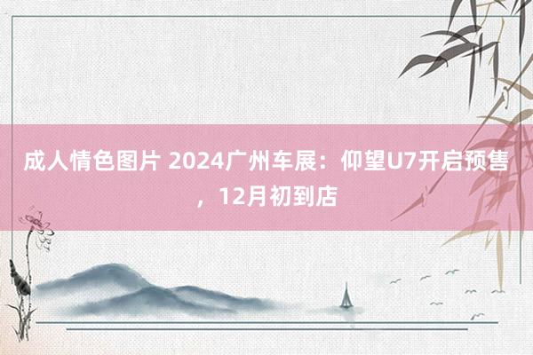 成人情色图片 2024广州车展：仰望U7开启预售，12月初到店