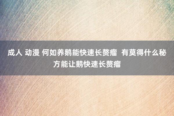 成人 动漫 何如养鹅能快速长赘瘤  有莫得什么秘方能让鹅快速长赘瘤