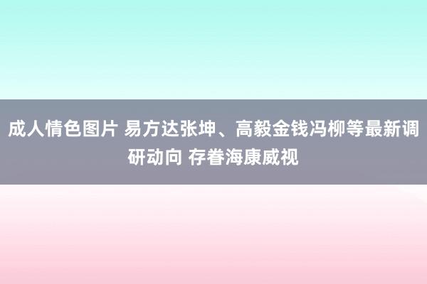 成人情色图片 易方达张坤、高毅金钱冯柳等最新调研动向 存眷海康威视