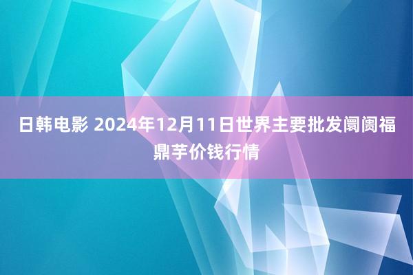 日韩电影 2024年12月11日世界主要批发阛阓福鼎芋价钱行情