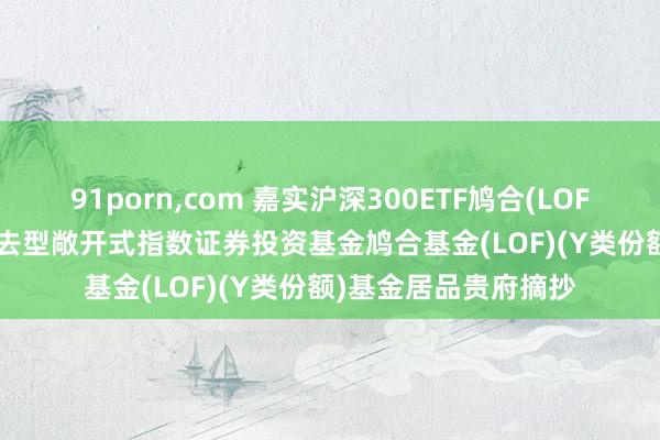 91porn，com 嘉实沪深300ETF鸠合(LOF)Y: 嘉实沪深300来去型敞开式指数证券投资基金鸠合基金(LOF)(Y类份额)基金居品贵府摘抄